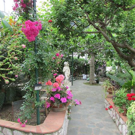 B&B Palazzo A Mare Capri Buitenkant foto