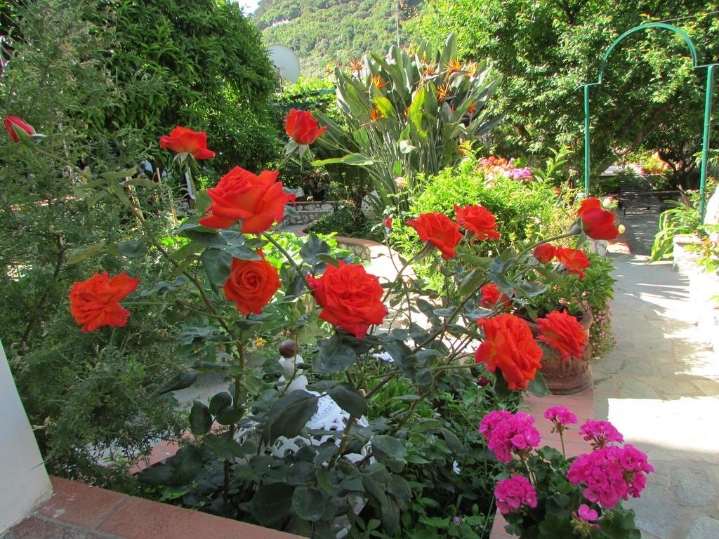 B&B Palazzo A Mare Capri Buitenkant foto