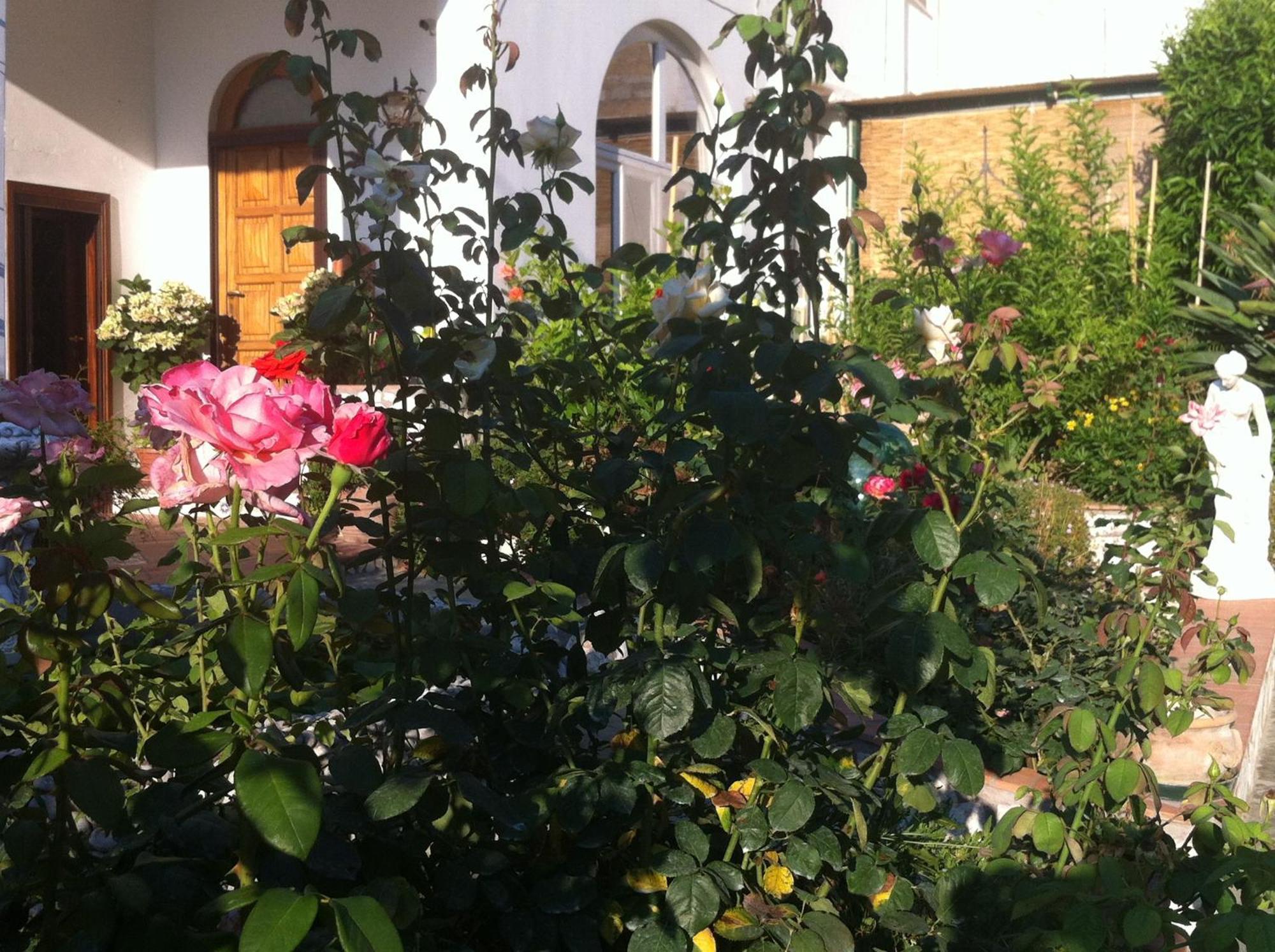 B&B Palazzo A Mare Capri Buitenkant foto