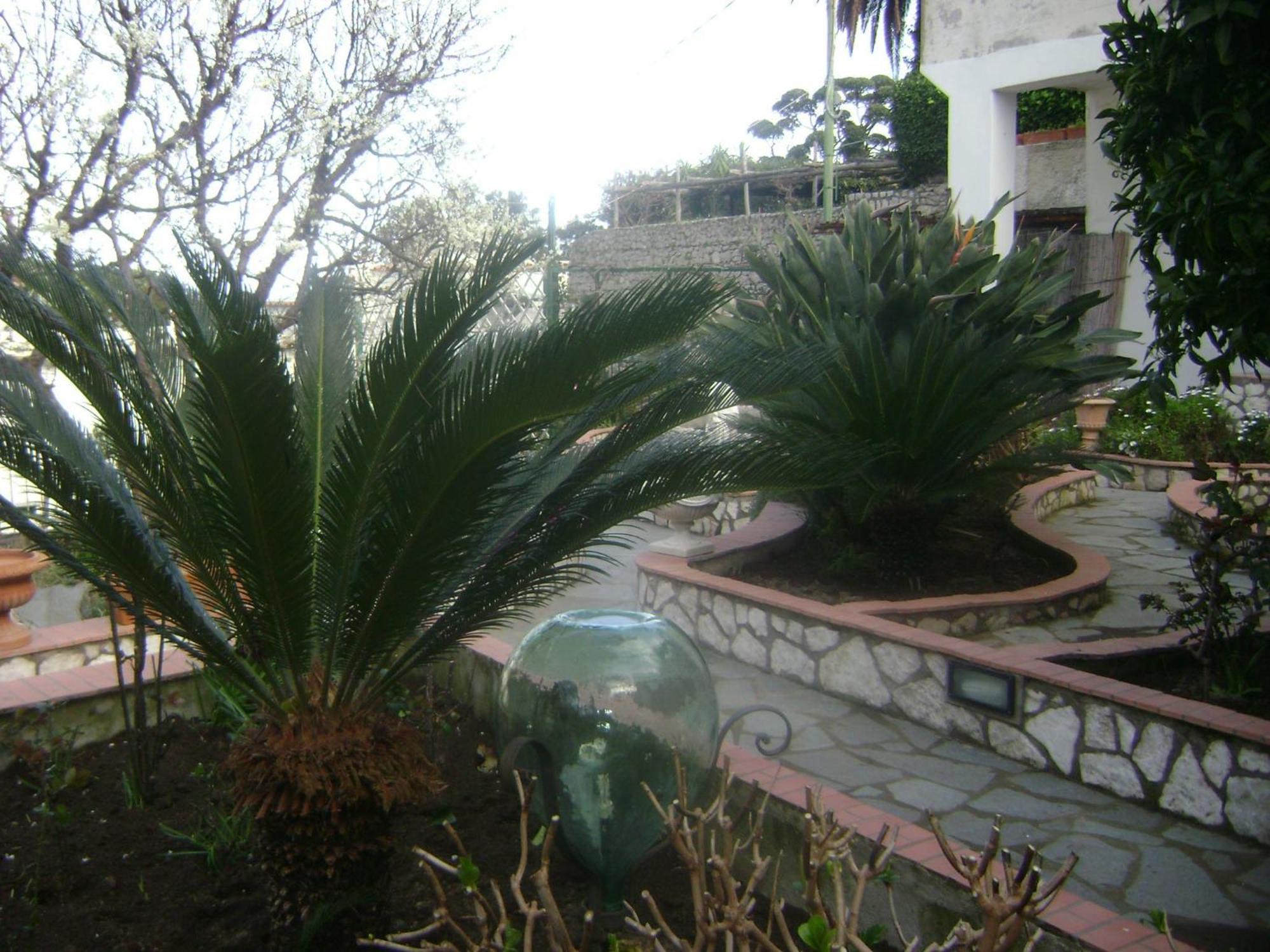 B&B Palazzo A Mare Capri Buitenkant foto