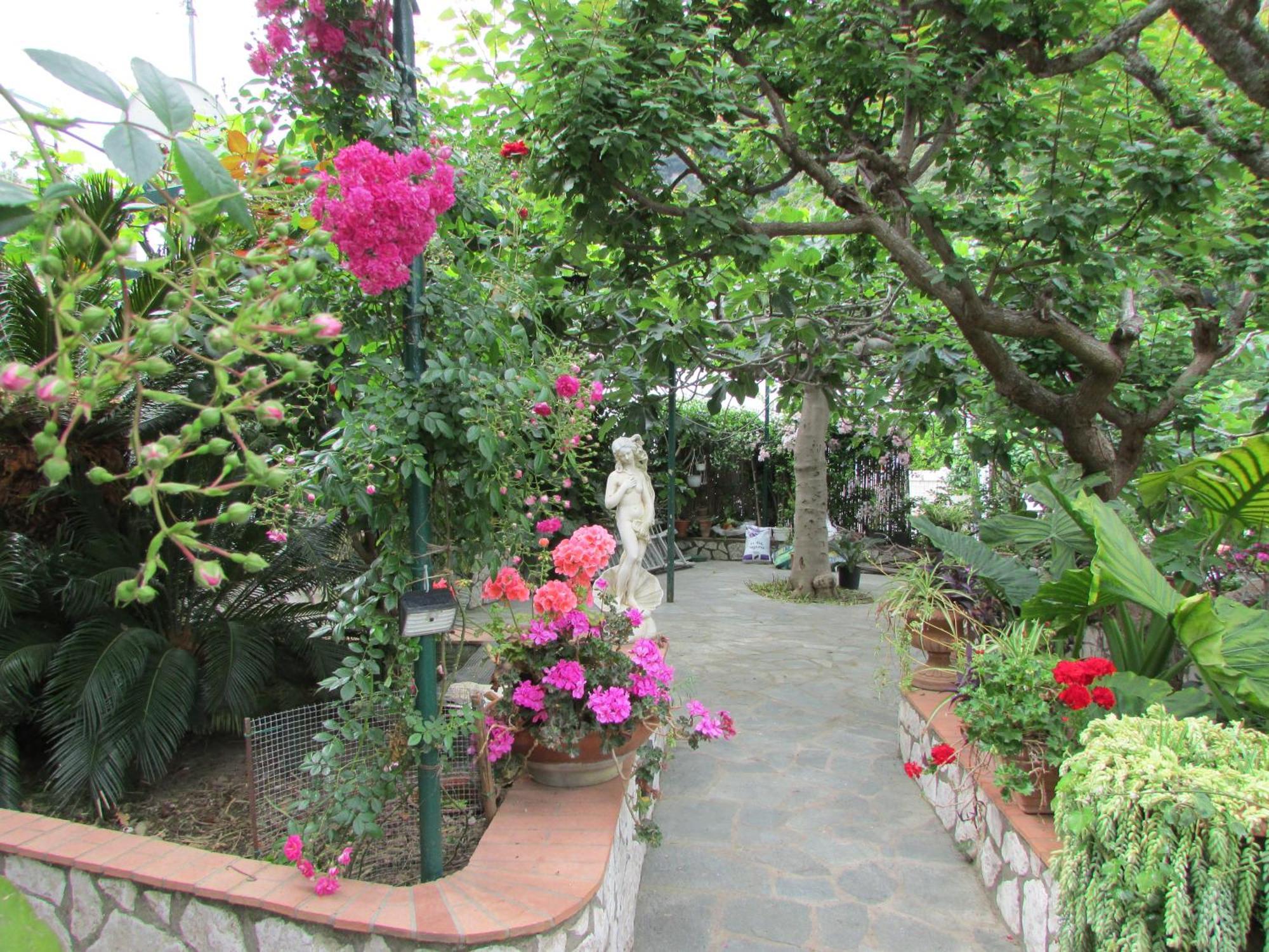 B&B Palazzo A Mare Capri Buitenkant foto