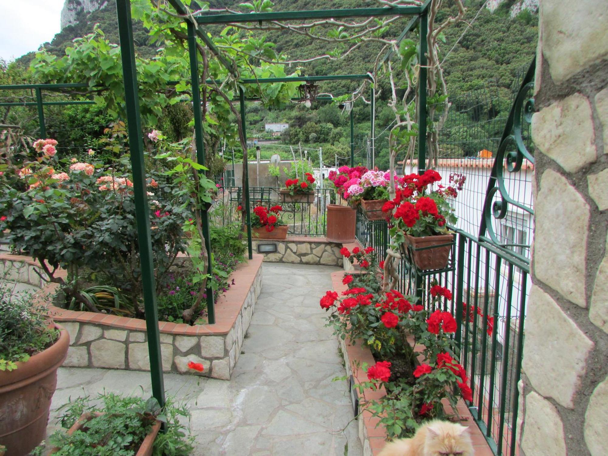 B&B Palazzo A Mare Capri Buitenkant foto