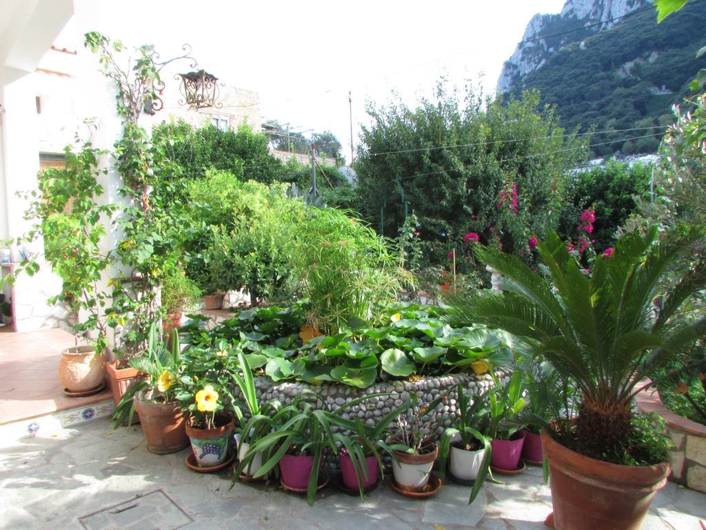 B&B Palazzo A Mare Capri Buitenkant foto