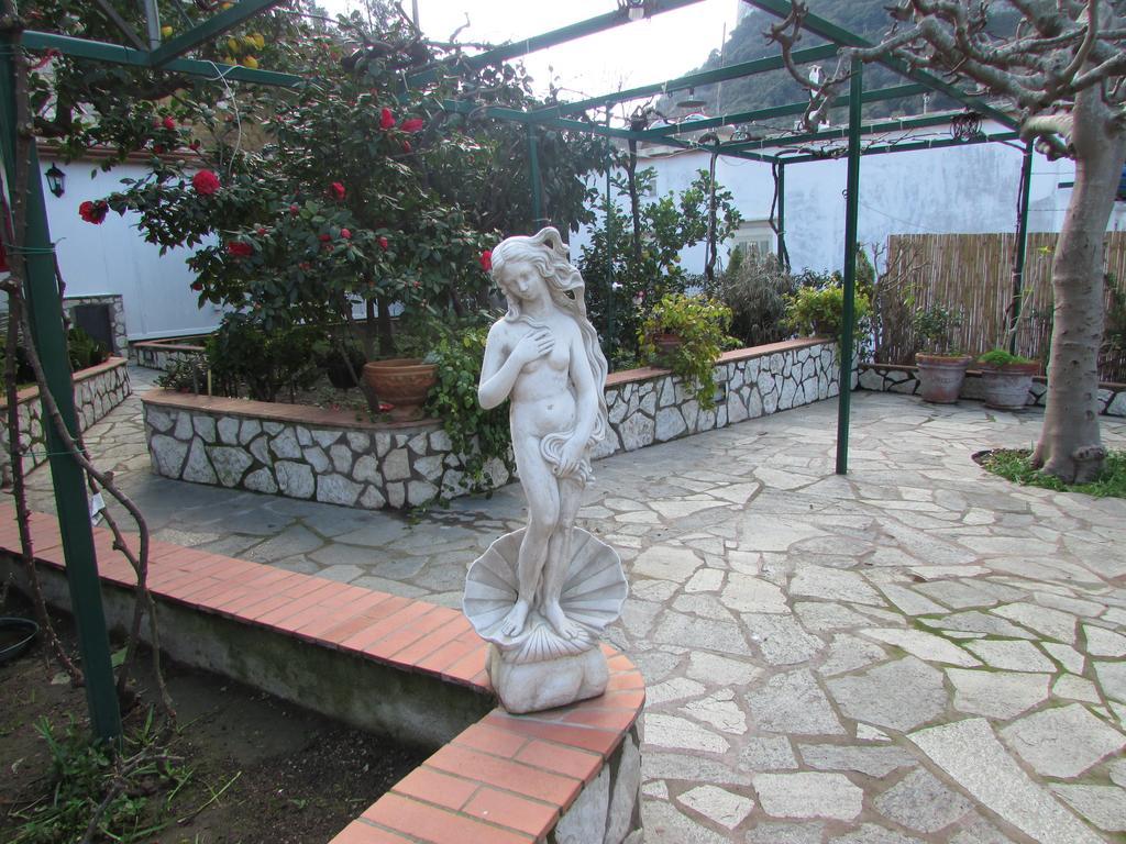 B&B Palazzo A Mare Capri Buitenkant foto