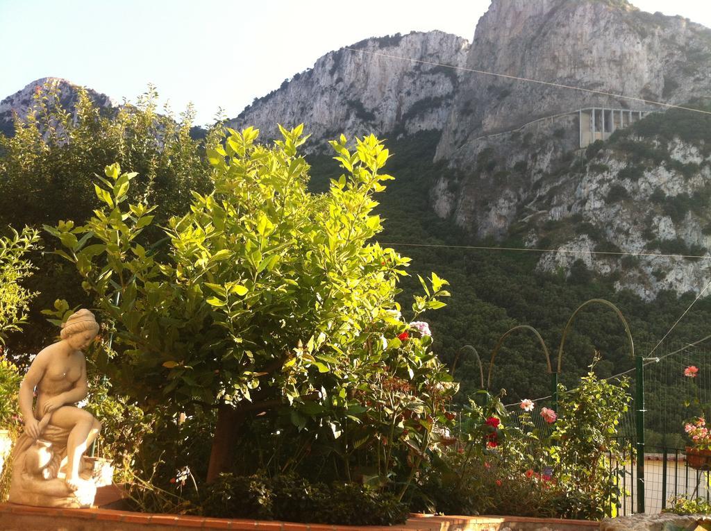 B&B Palazzo A Mare Capri Buitenkant foto